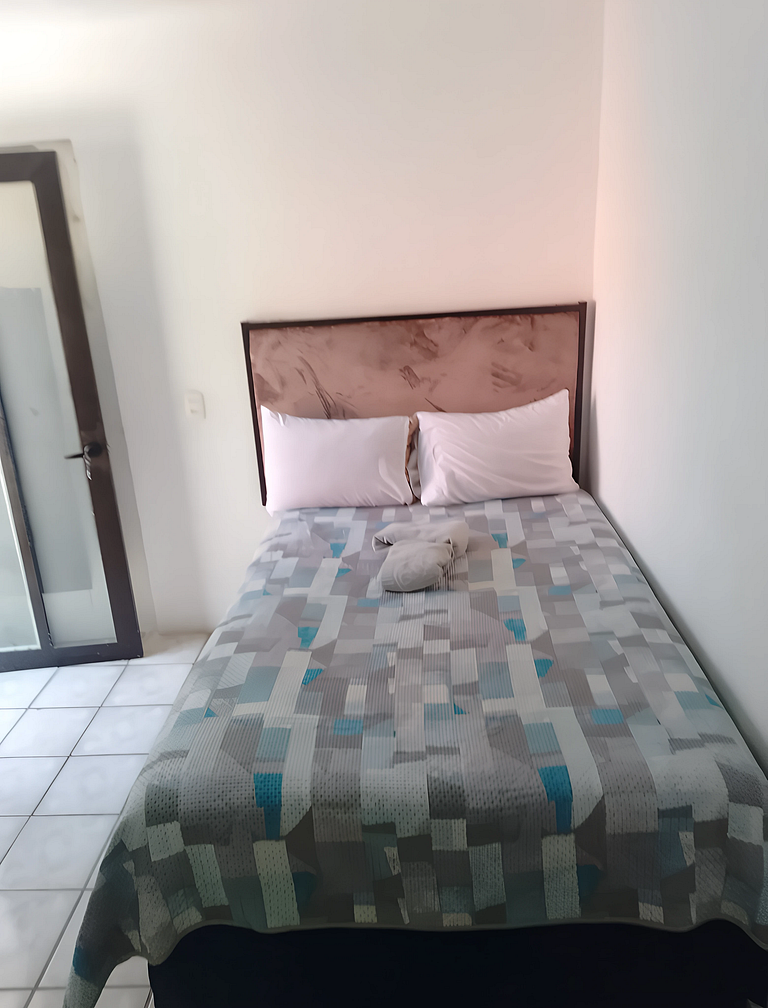Precio, cómodo y seguro Gaviotas