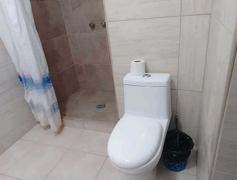 Precio, cómodo y seguro Gaviotas