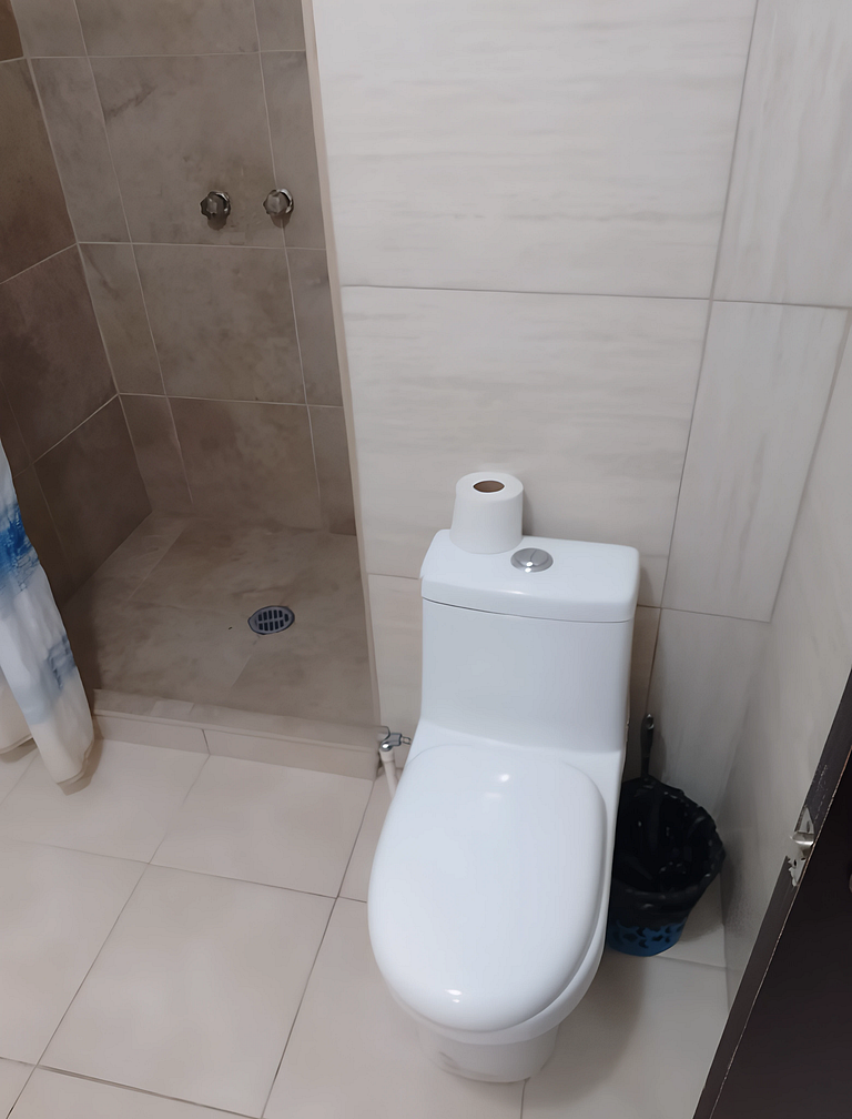 Precio, cómodo y seguro Gaviotas