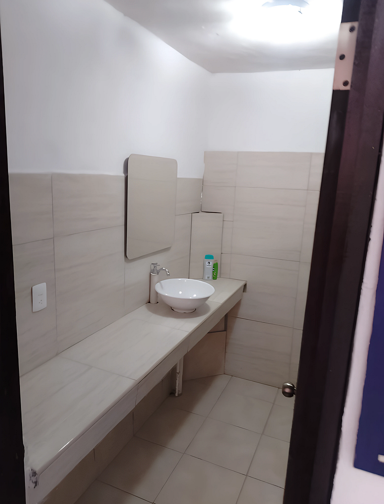 Precio, cómodo y seguro Gaviotas