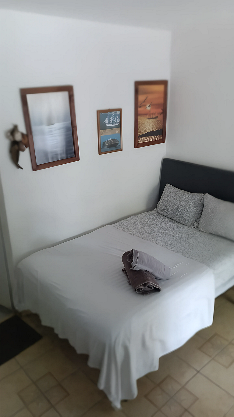 Affordable, Comfortable, and Convenient – Barcos