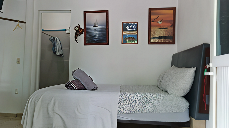 Affordable, Comfortable, and Convenient – Barcos