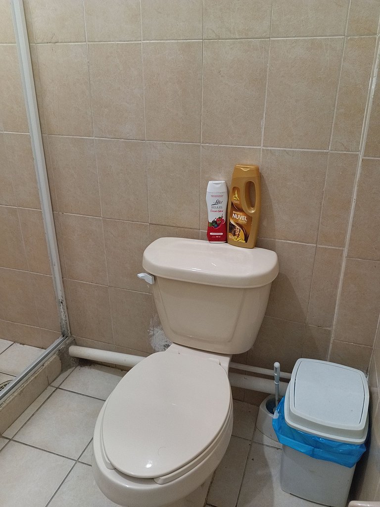 Affordable and Comfortable, Location, Delfines